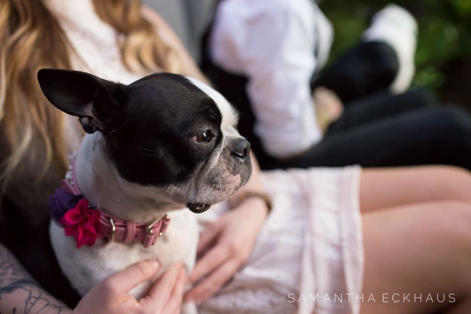 Orange Grove Engagement Orange Grove Engagement