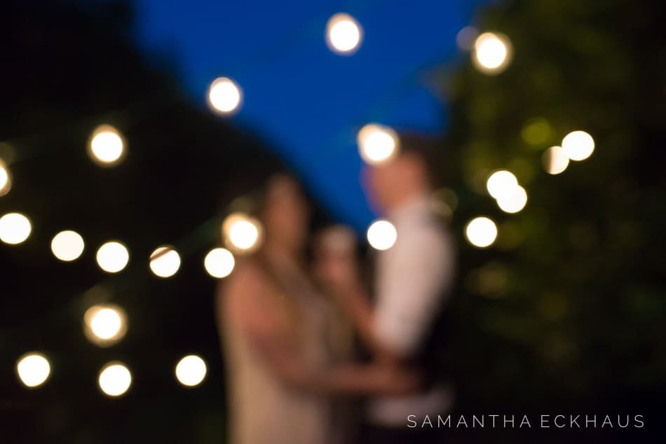 Orange Grove Engagement Orange Grove Engagement