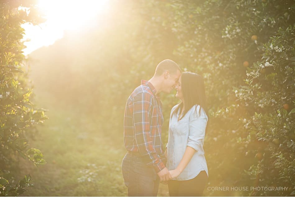 Anna & Corey’s Orange Grove Engagement