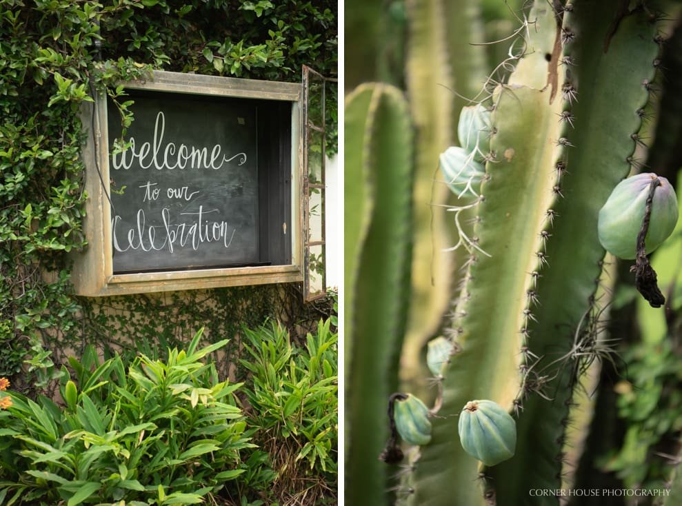 Orlando Elopement Orlando Elopement