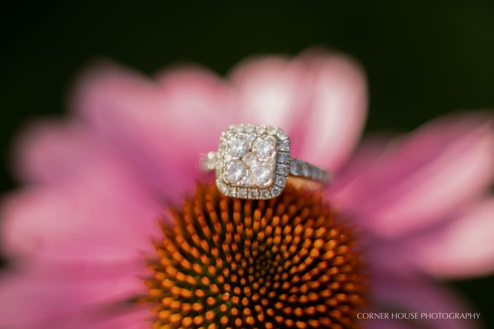 Leu Gardens Engagement Photographer