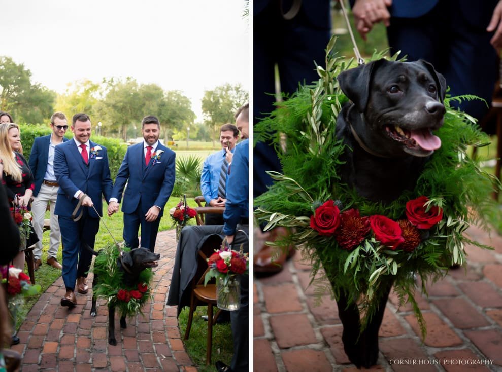 Orlando Gay Wedding Orlando Gay Wedding