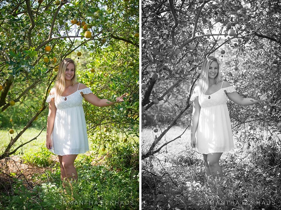 Orange Grove Senior Portraits Orange Grove Senior Portraits