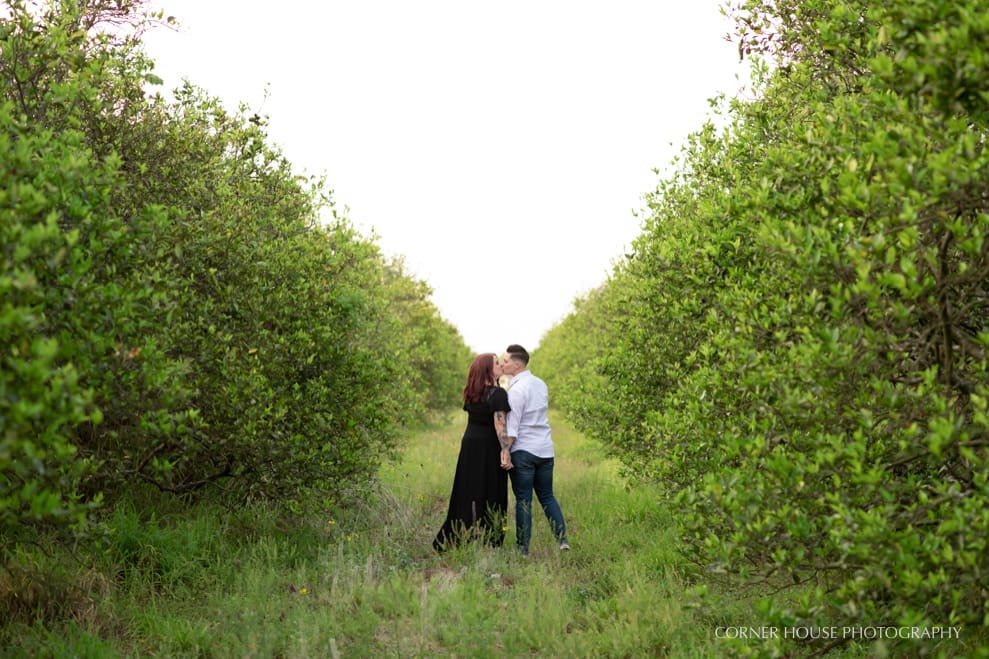 Orange Grove Lesbian Engagement Orange Grove Lesbian Engagement