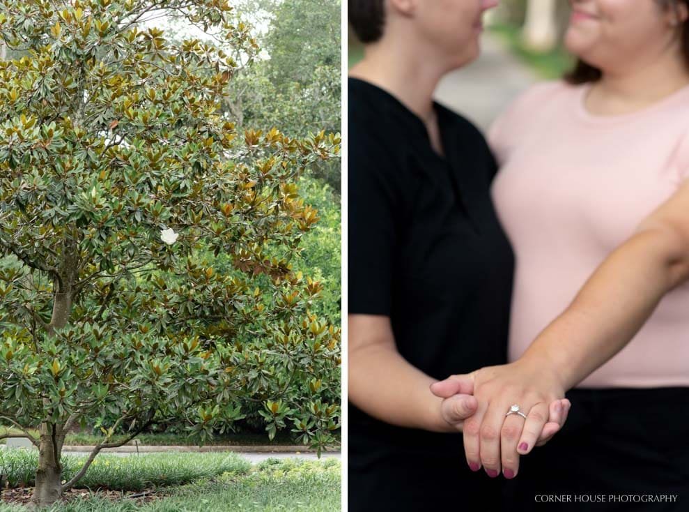 Leu Gardens Engagement