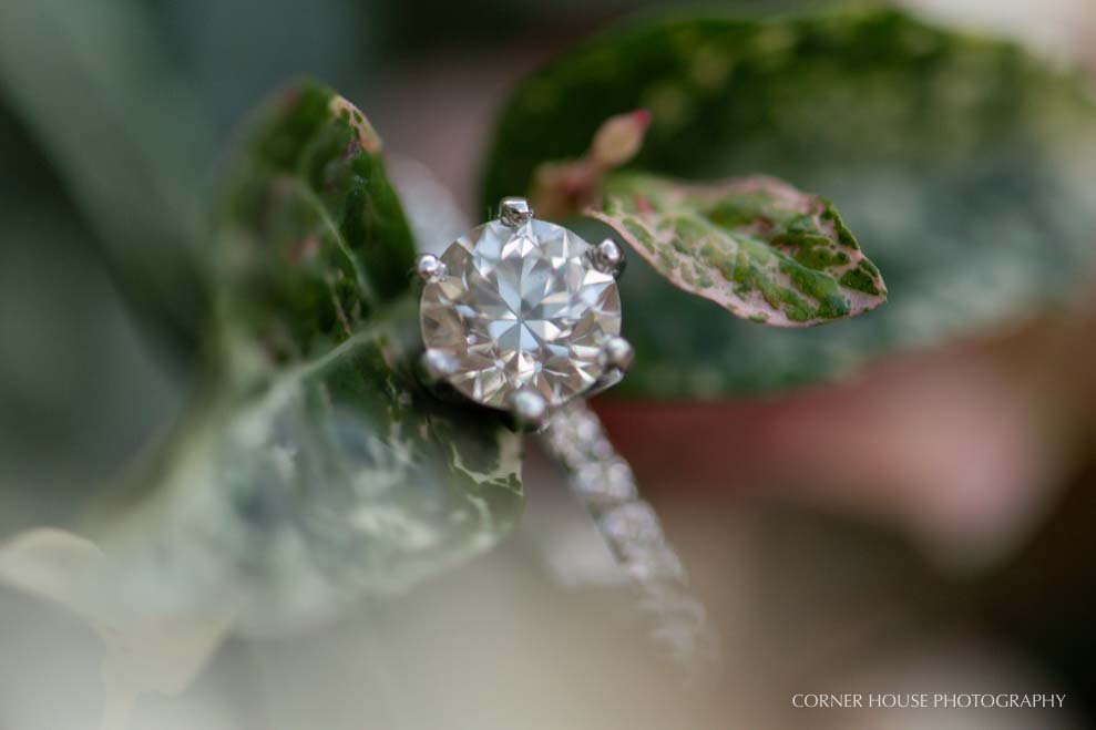 Leu Gardens Engagement
