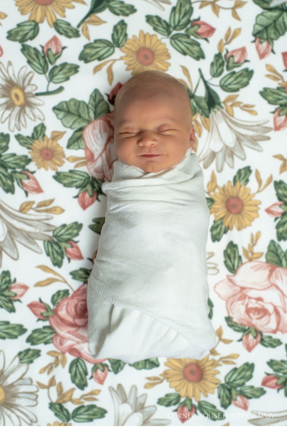 Orlando Newborn Photographer Orlando Newborn Photographer