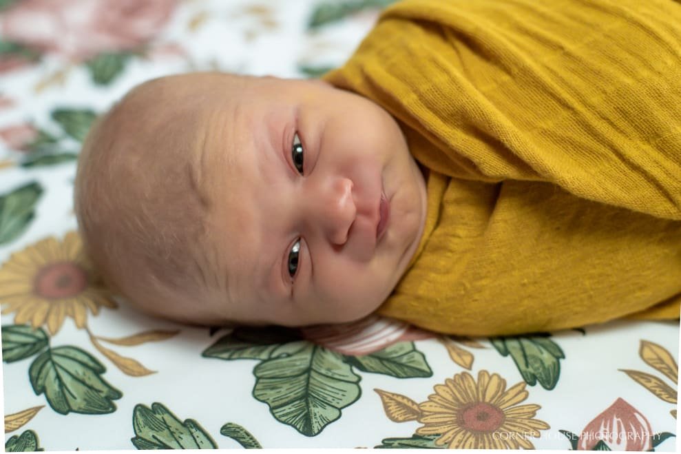 Orlando Newborn Photographer Orlando Newborn Photographer