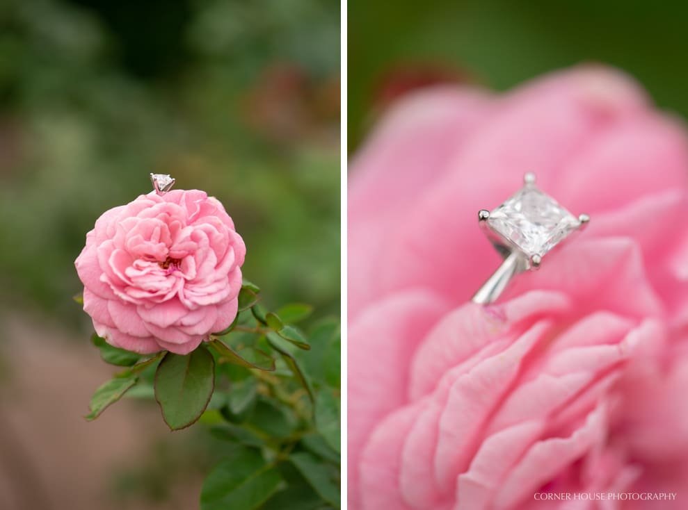 Leu Gardens Engagement Leu Gardens Engagement