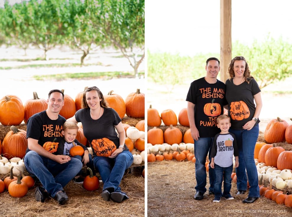 Orlando Pumpkin Patch Orlando Pumpkin Patch