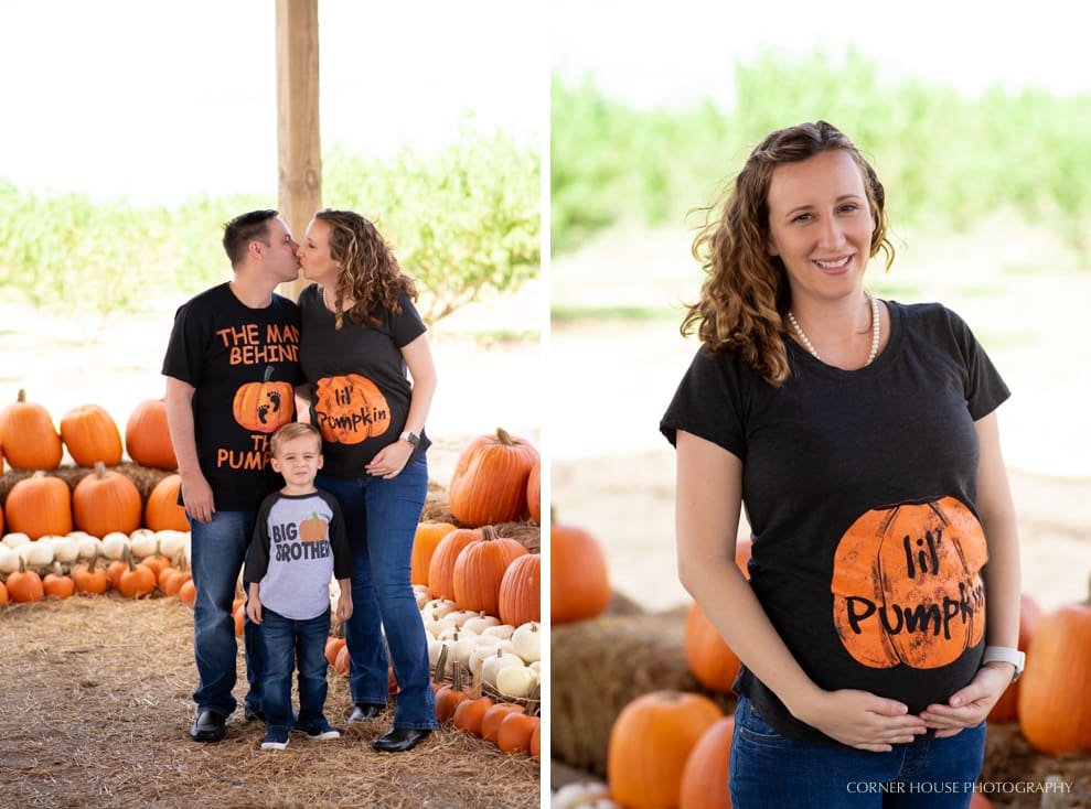 Orlando Pumpkin Patch Orlando Pumpkin Patch