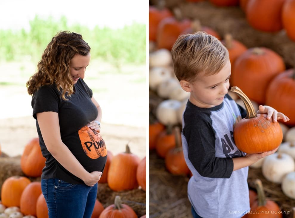 Orlando Pumpkin Patch Orlando Pumpkin Patch