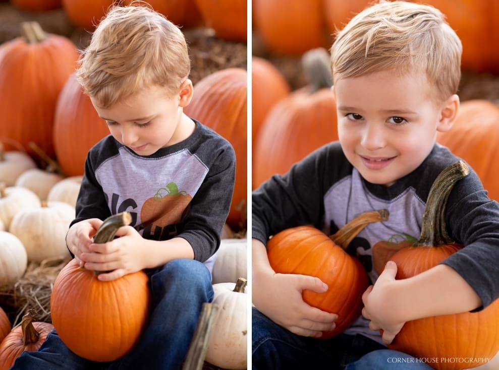 Orlando Pumpkin Patch Orlando Pumpkin Patch