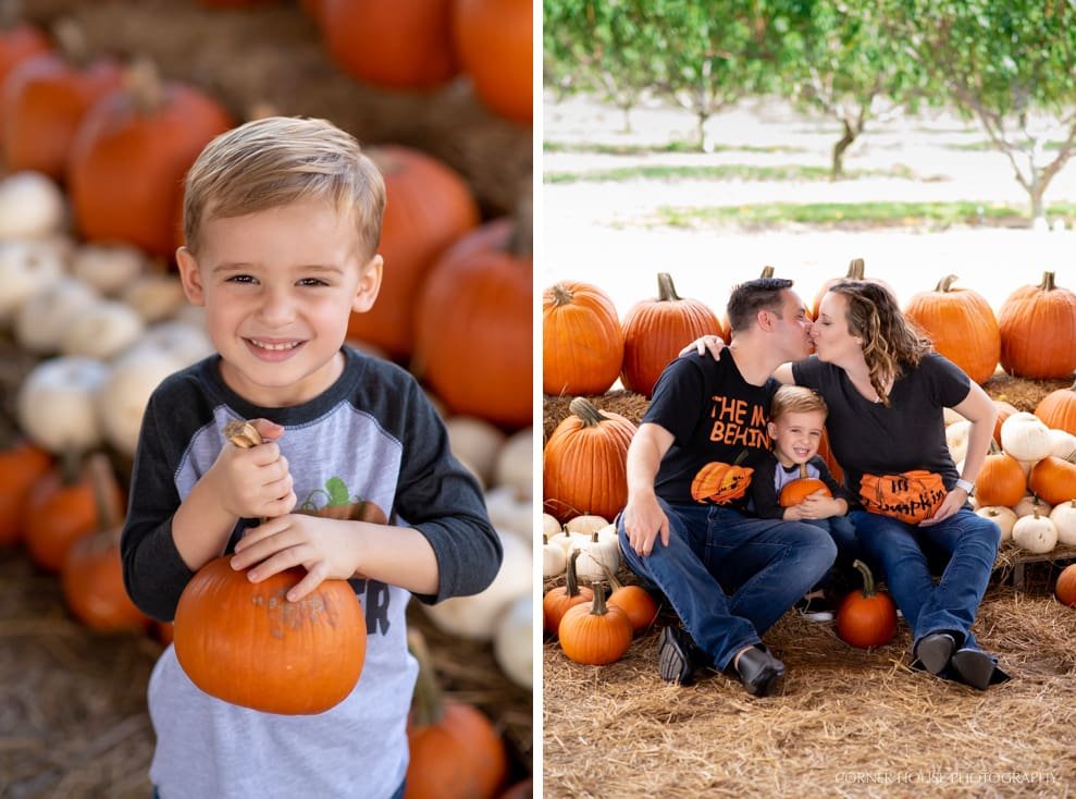 Orlando Pumpkin Patch Orlando Pumpkin Patch