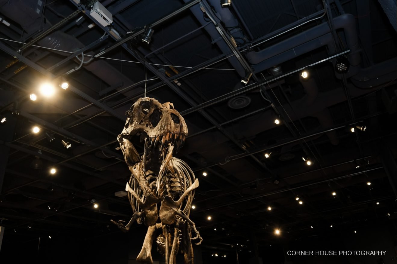 Orlando Science Center Wedding