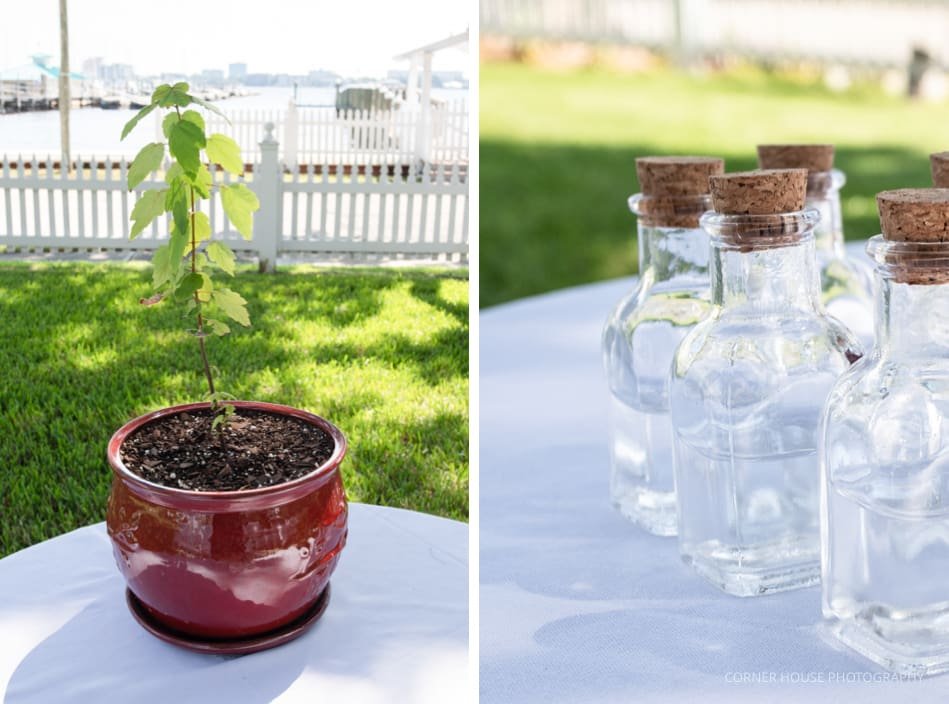 Palmetto Riverside Wedding