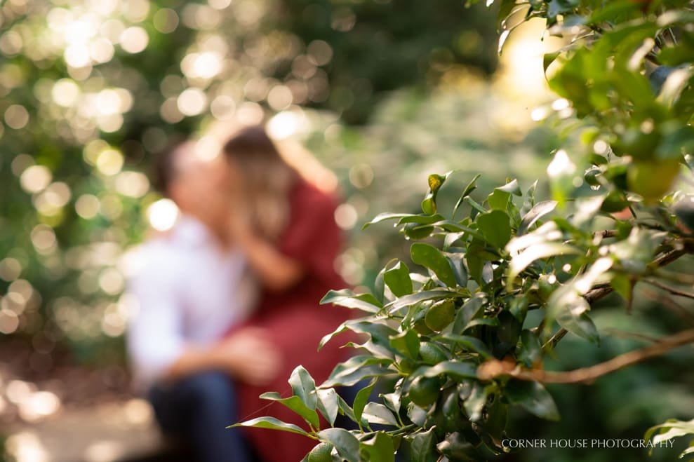 Pinewood Estate Engagement 
