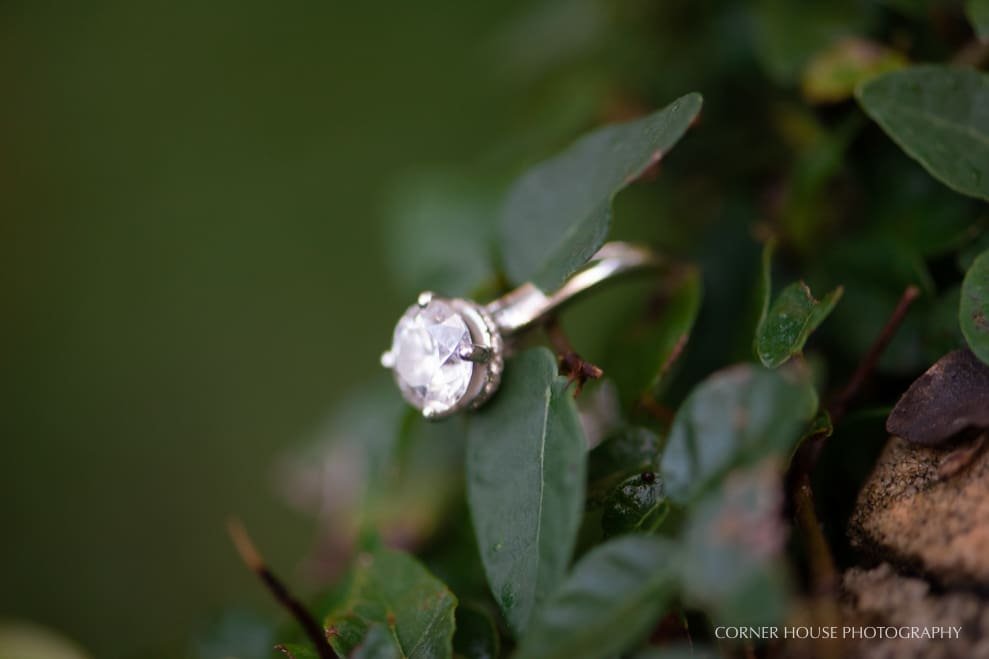 Pinewood Estate Engagement Pinewood Estate Engagement