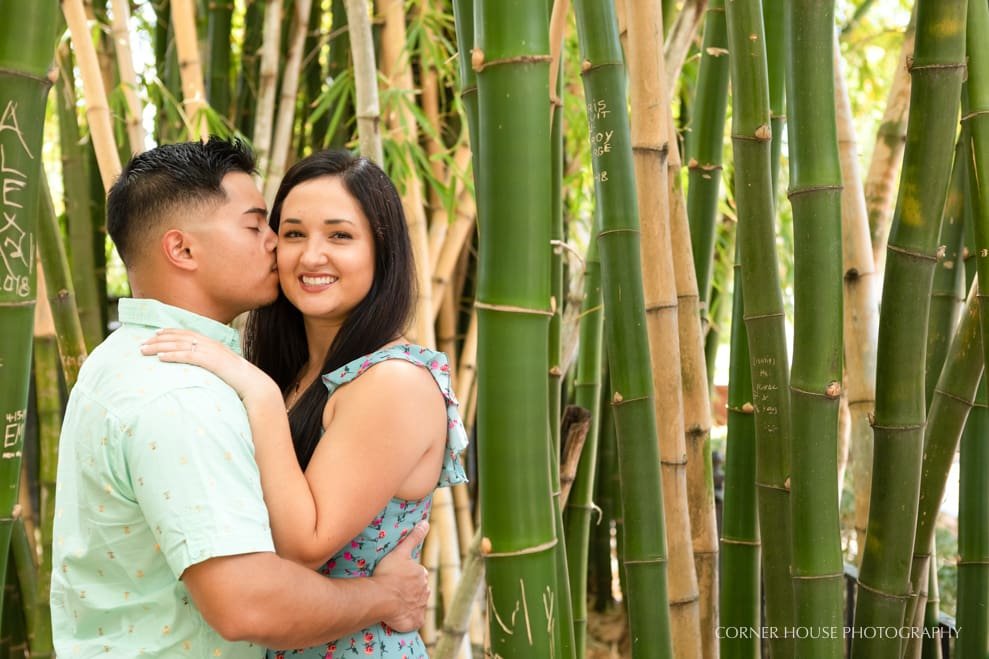 Plant Museum Engagement