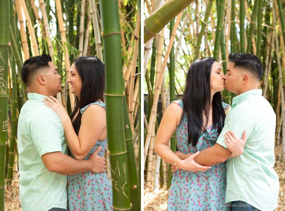 Plant Museum Engagement