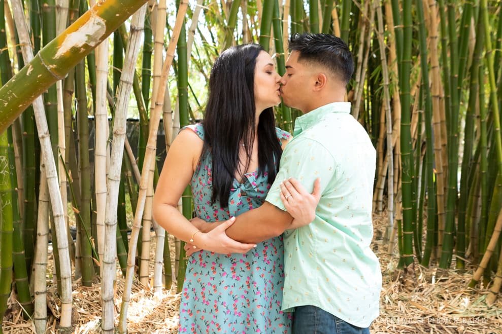 Plant Museum Engagement