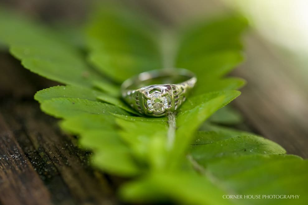 Rock Springs Engagement