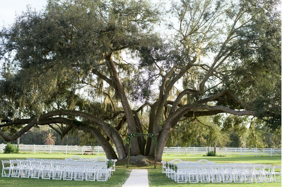 Rocking H Ranch Wedding
