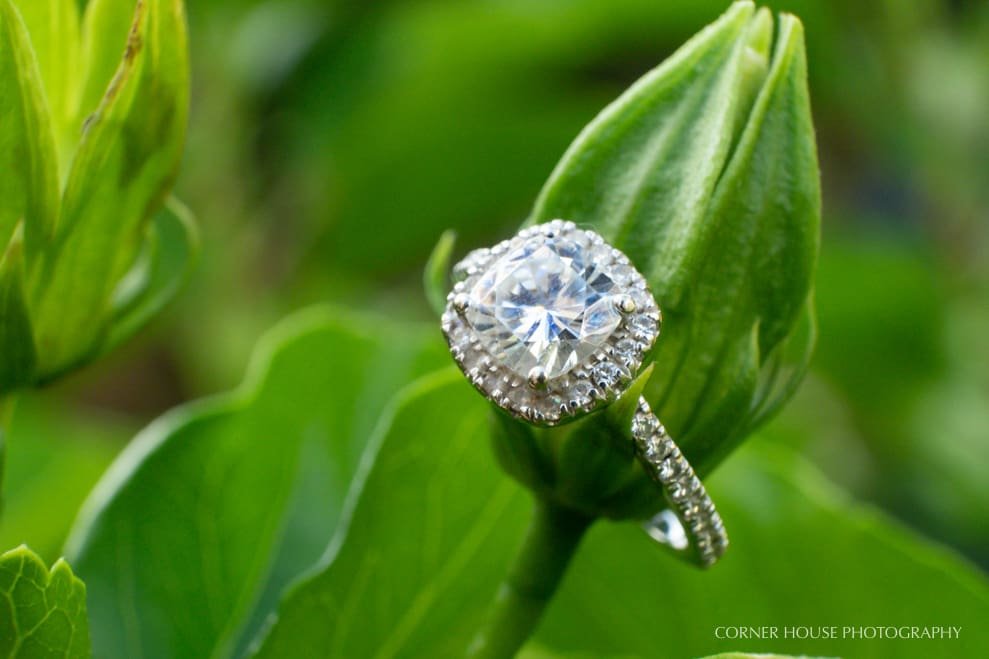 Winter Park Engagement Photographer