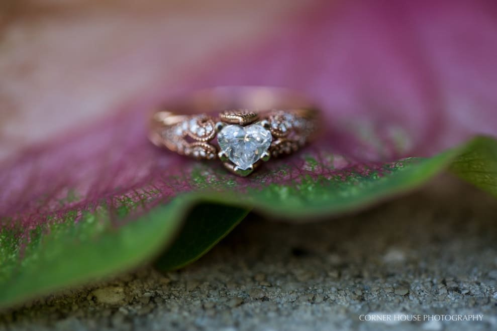 Rollins College Engagement Rollins College Engagement