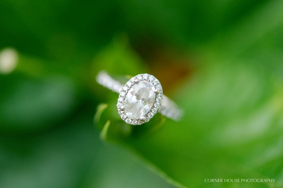 Rollins College Engagement Rollins College Engagement