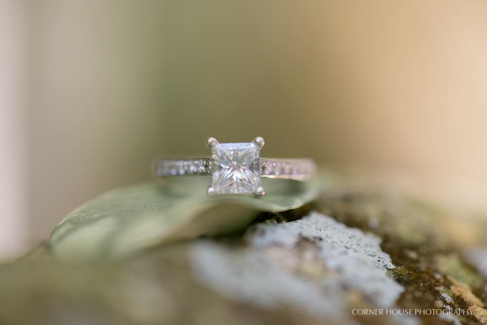 Amanda & Rich’s Selby Gardens Engagement