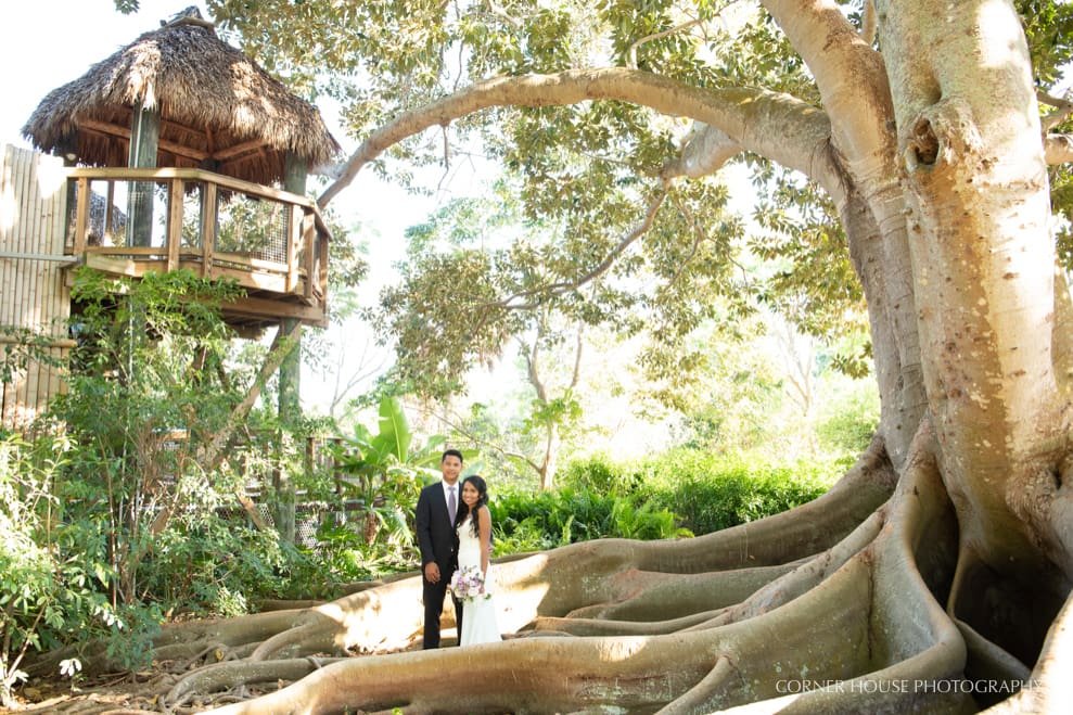 Natasha & Warren’s Selby Gardens Wedding