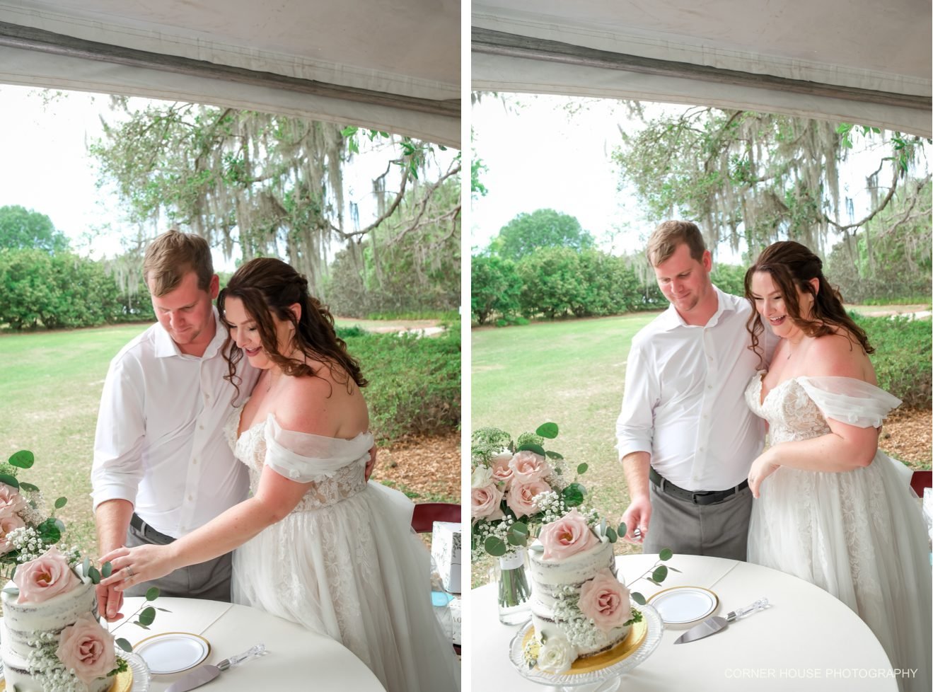 Sholom Park Wedding Elopement