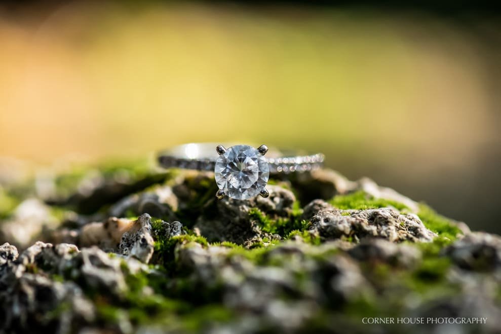 St Augustine Lesbian Engagement St Augustine Lesbian Engagement