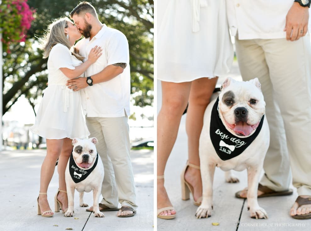 Straub Park Engagement 