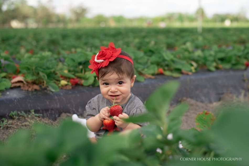 The Sweetest Strawberry in the Patch