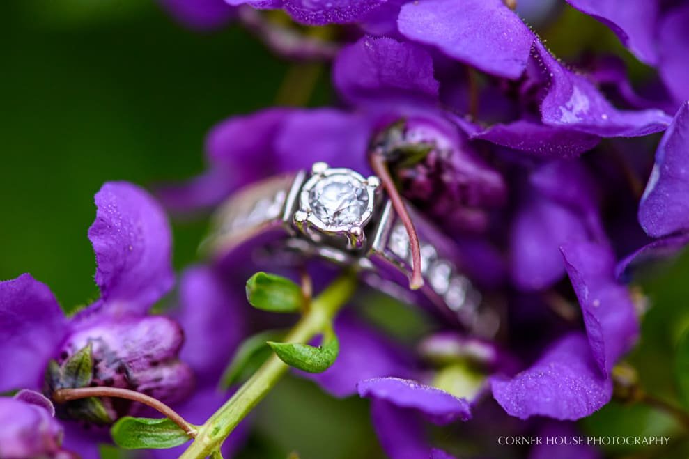Wendy & Jeremy’s Sydonie Mansion Engagement