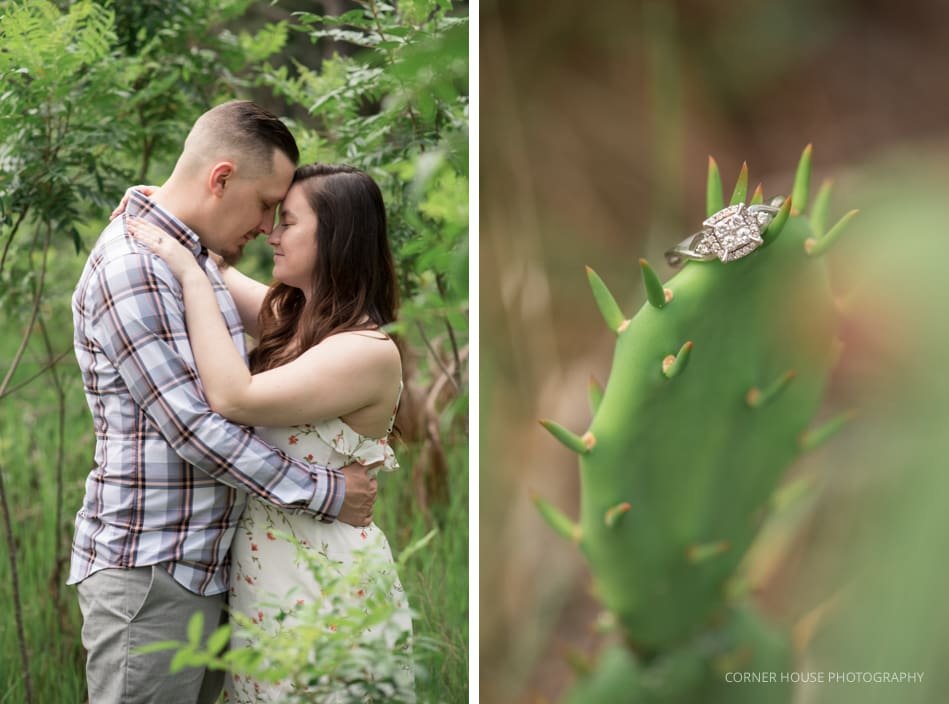 Tampa Engagement Tampa Engagement