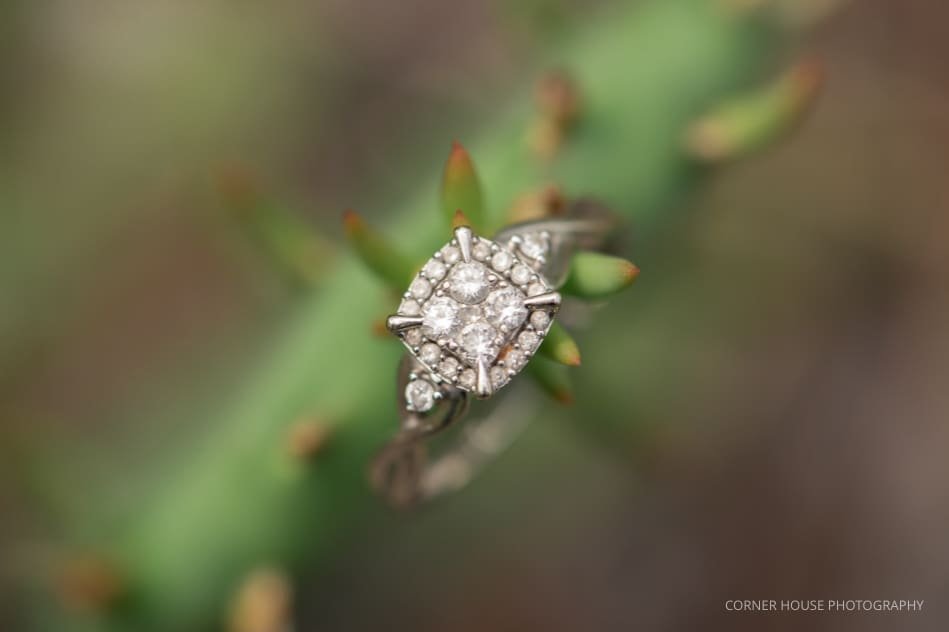 Tampa Engagement Tampa Engagement