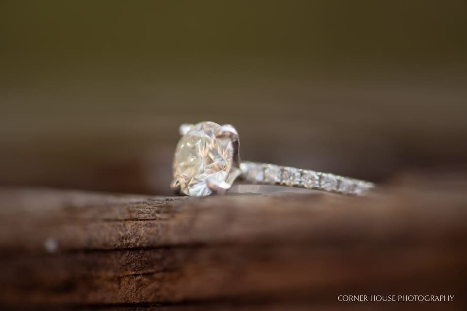 Tampa Engagement Tampa Engagement