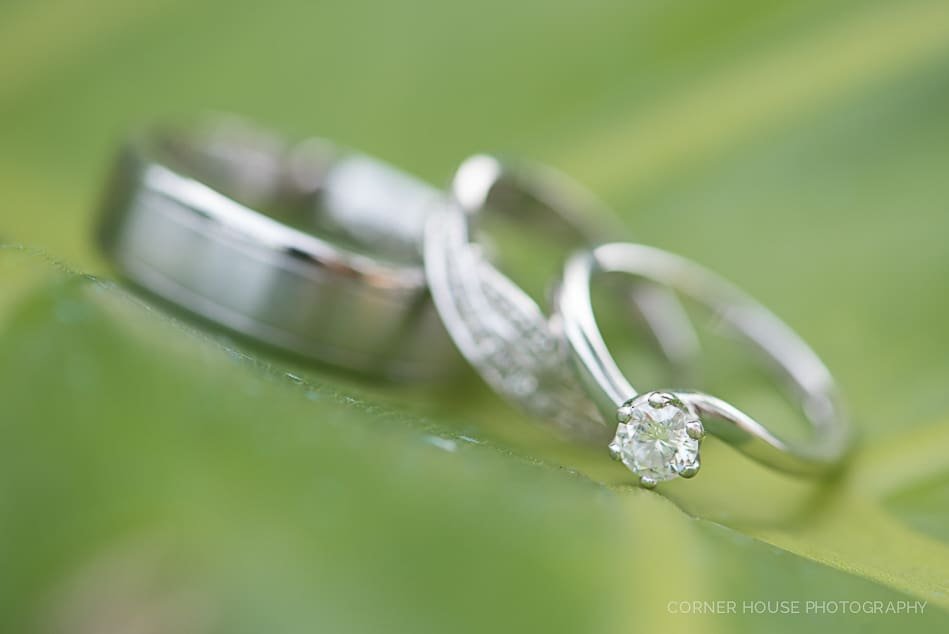 Paradise Cove Wedding Paradise Cove Wedding