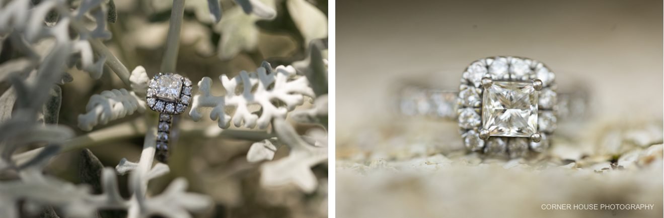 Washington Oaks State Park Engagement