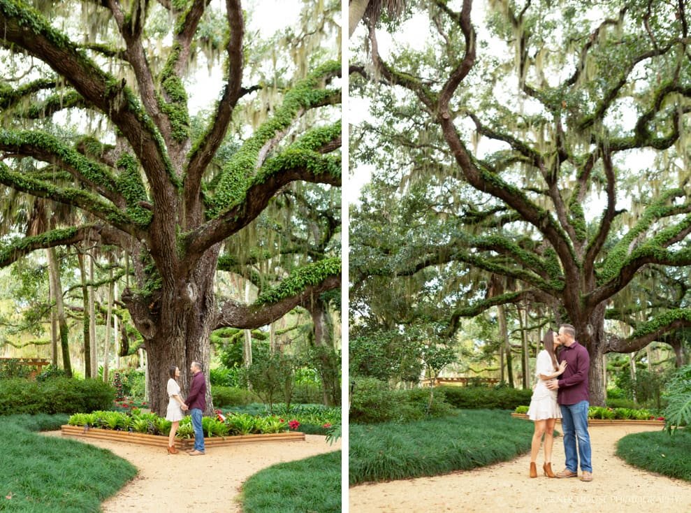 Washington Oaks Engagement 