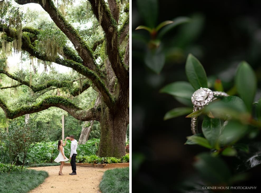 Washington Oaks Engagement Washington Oaks Engagement