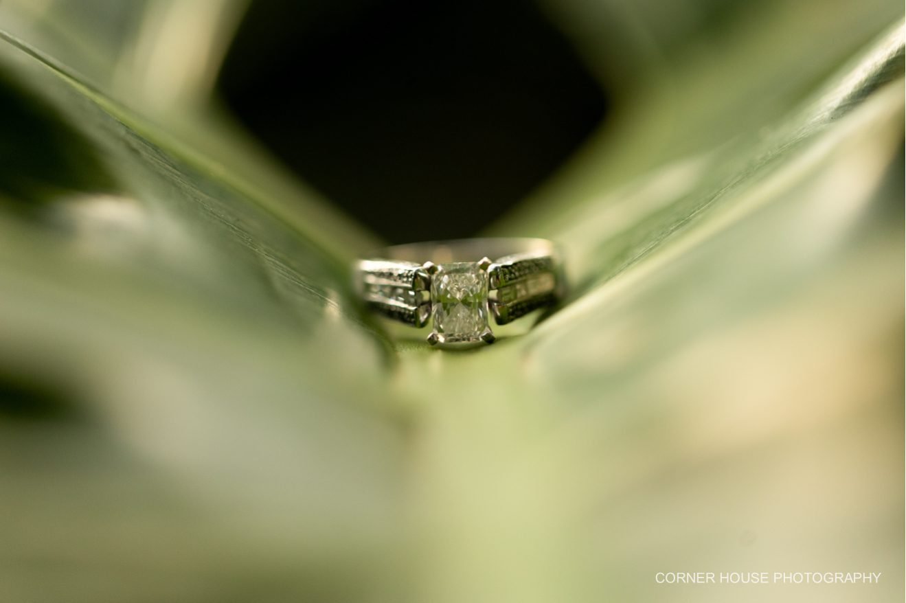Washington Oaks Garden State Park Engagement
