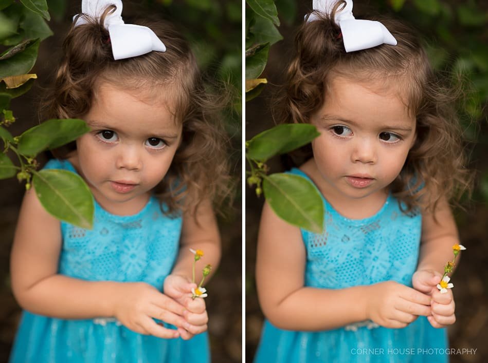 Orange Grove Family Session Orange Grove Family Session