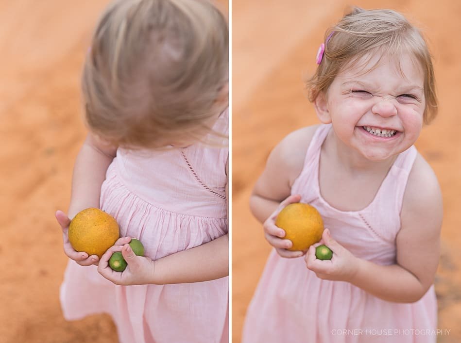 Orange Grove Family Portraits Orange Grove Family Portraits