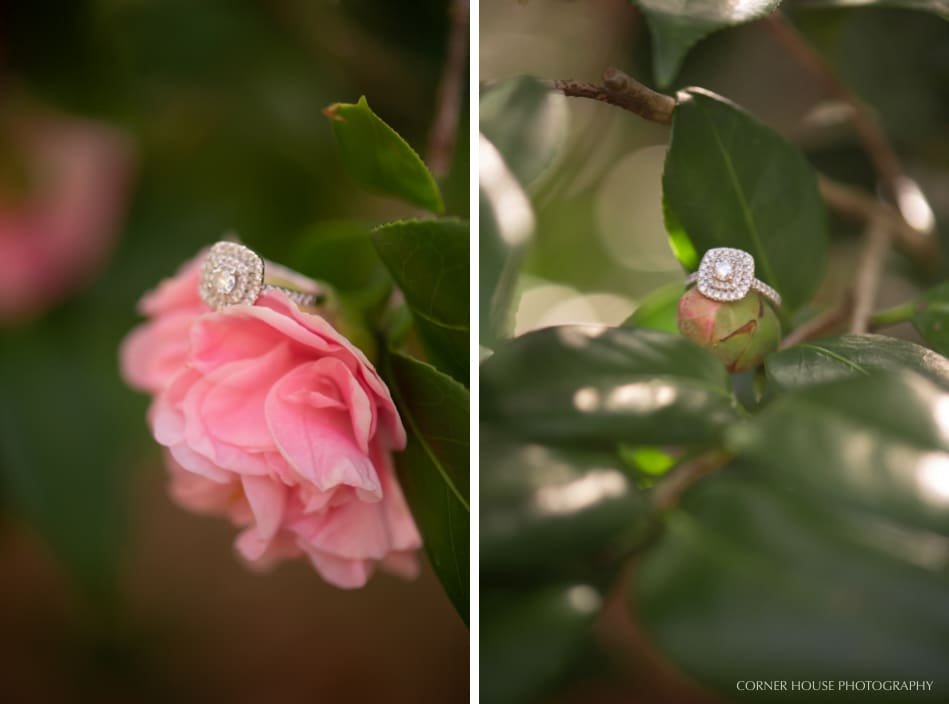 Winter Park Engagement