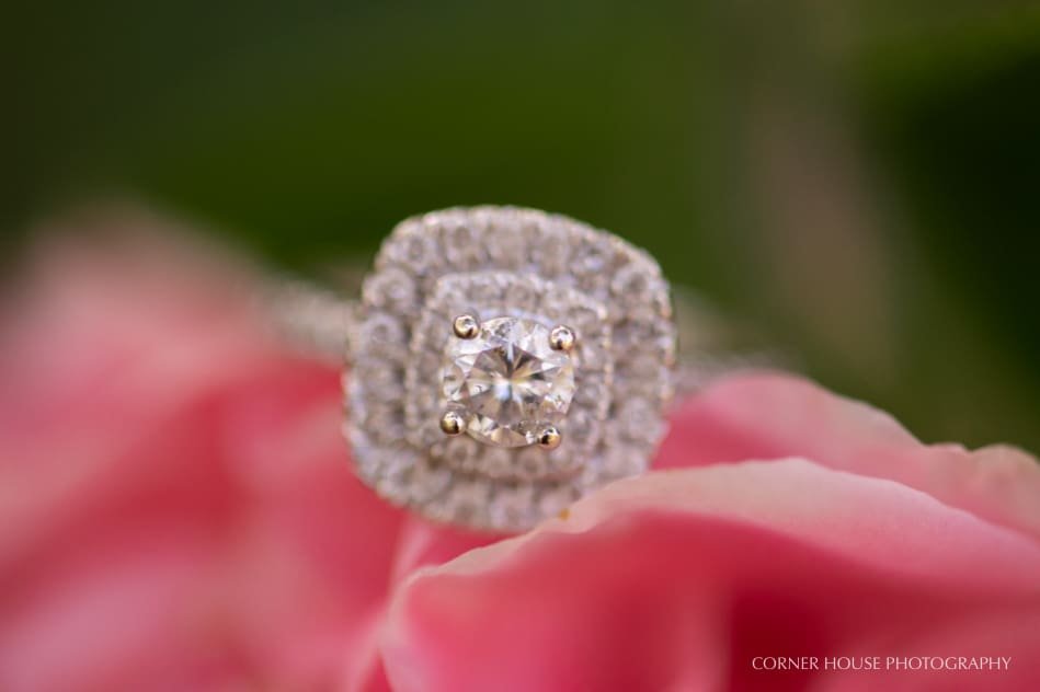 Winter Park Engagement