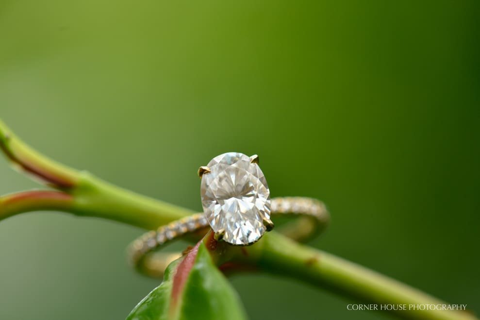 Winter Park Engagement Photographer Winter Park Engagement Photographer